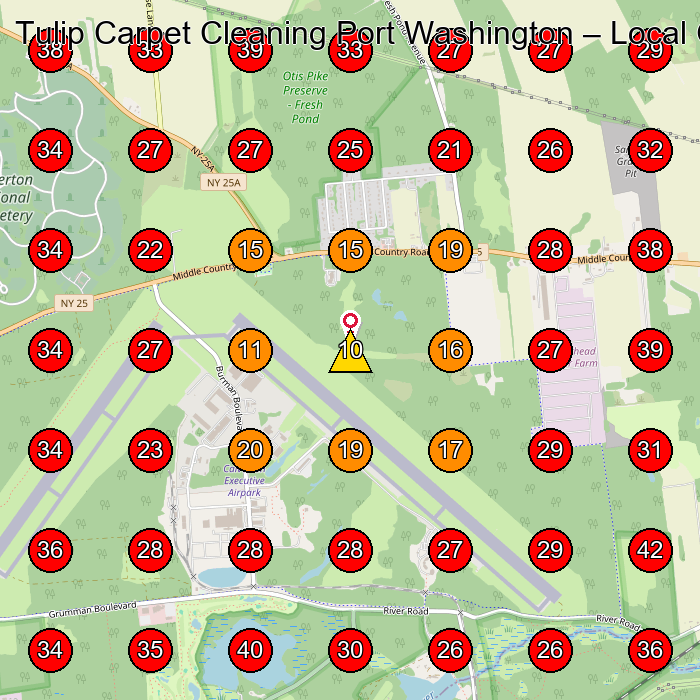 Tulip Carpet Cleaning Port Washington GeoGrid visibility map for Carpet Cleaning Service in None